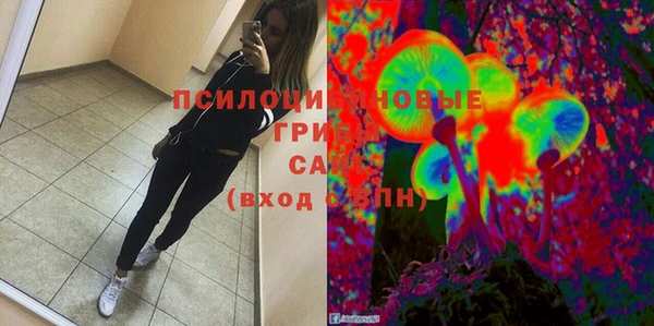альфа пвп Гусиноозёрск