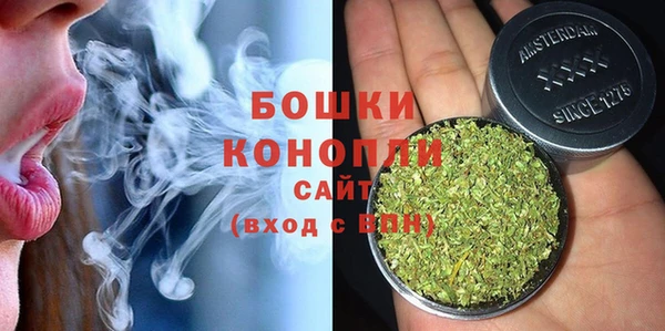 альфа пвп Гусиноозёрск
