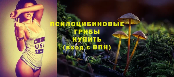 бутират Гусев