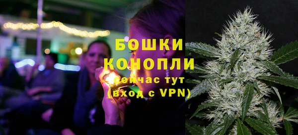 ALPHA PVP Гусь-Хрустальный