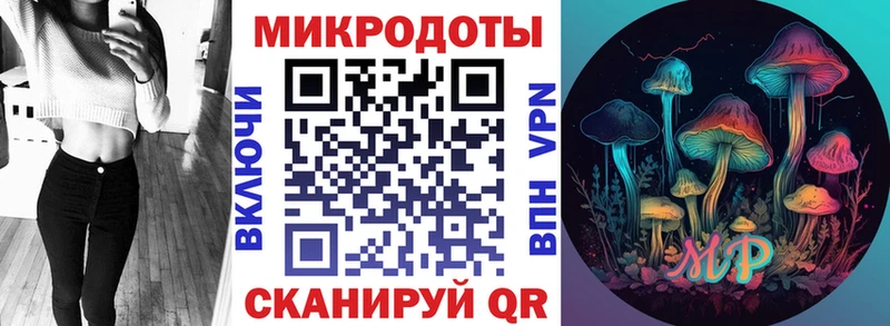 Купить закладки  Чегем  Псилоцибиновые грибы мицелий 